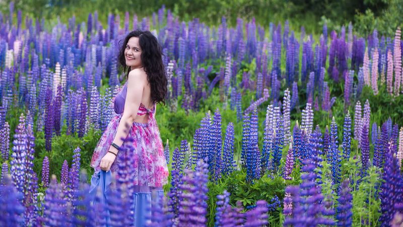 Pink floral summer dress in a field of purple lupins in Finland